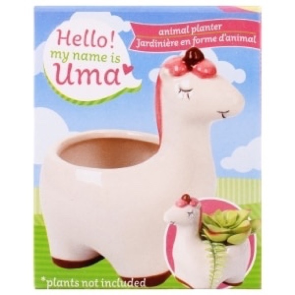 π4 Pc Mini Animal Planter Set - Picture 7 of 8